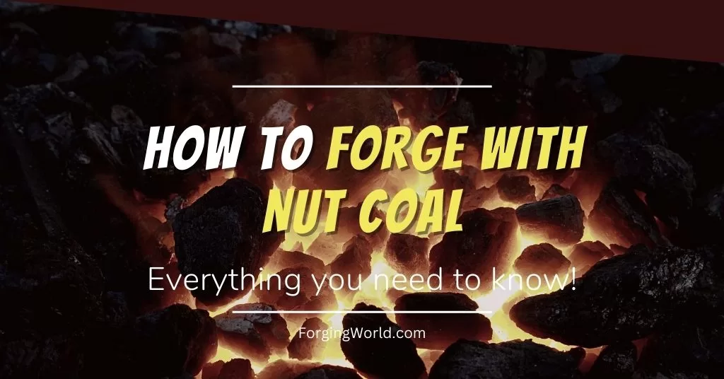 The Ultimate Guide to with Nut Coal